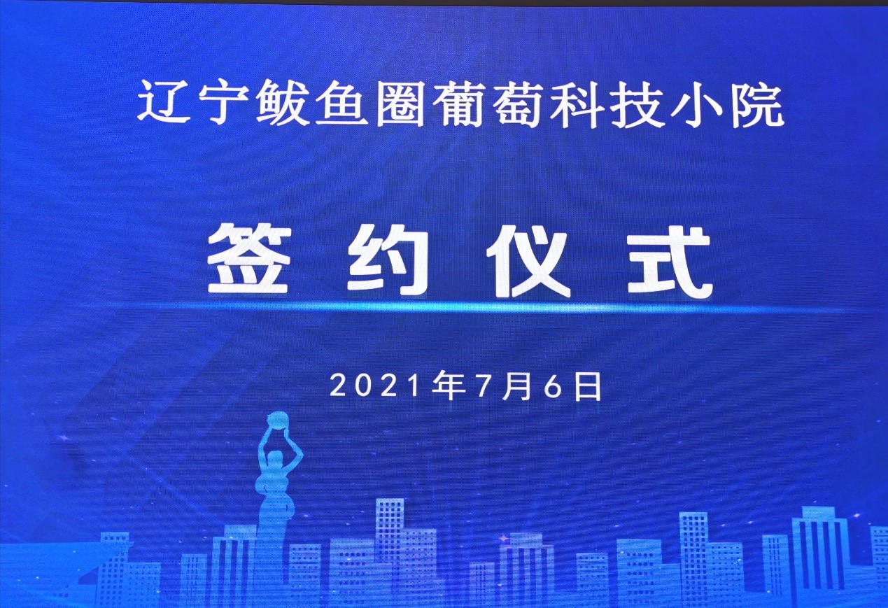 U型通透式天花系列